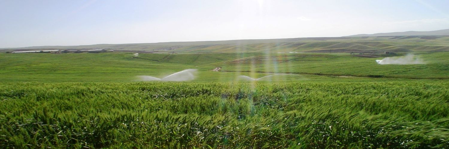 آبیاری قطره ای
